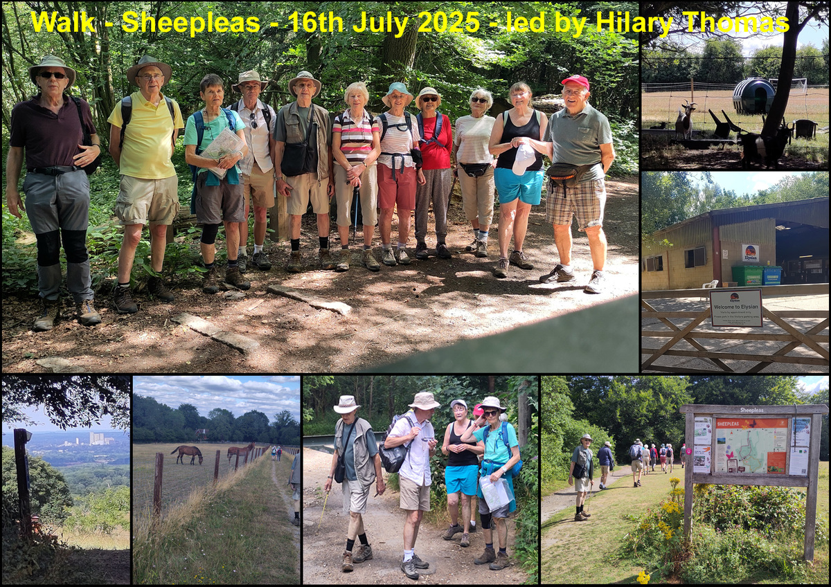 Walk - Sheepleas - 16th July 2025
